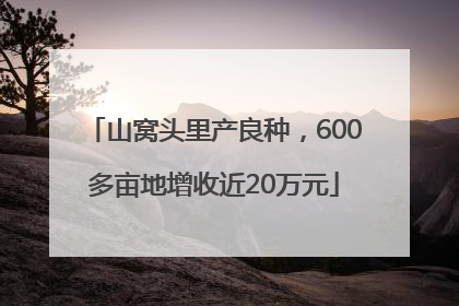 山窝头里产良种，600多亩地增收近20万元