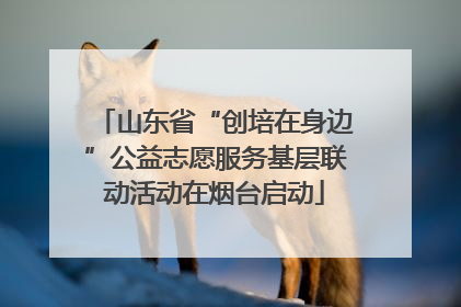 山东省“创培在身边”公益志愿服务基层联动活动在烟台启动