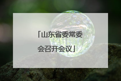 山东省委常委会召开会议