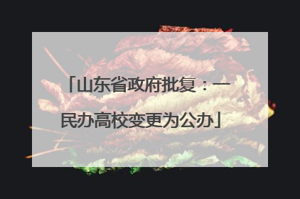 山东省政府批复：一民办高校变更为公办
