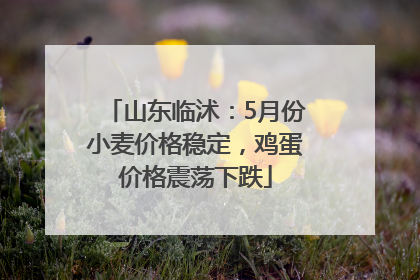 山东临沭：5月份小麦价格稳定，鸡蛋价格震荡下跌