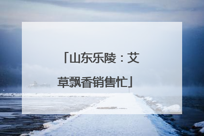山东乐陵：艾草飘香销售忙