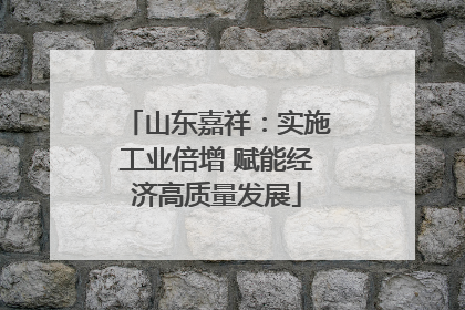 山东嘉祥：实施工业倍增 赋能经济高质量发展