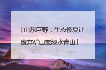 山东巨野：生态修复让废弃矿山变绿水青山