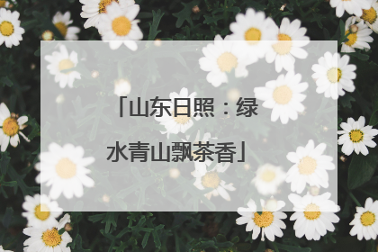 山东日照：绿水青山飘茶香
