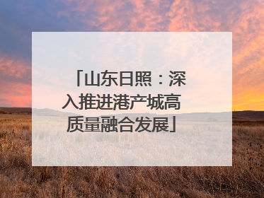 山东日照：深入推进港产城高质量融合发展