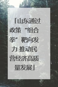 山东通过政策“组合拳”靶向发力 推动民营经济高质量发展