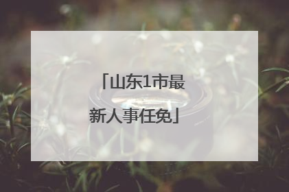 山东1市最新人事任免