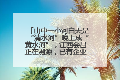 山中一小河白天是“清水河”晚上成“黄水河”，江西会昌正在溯源，已有企业被要求停工
