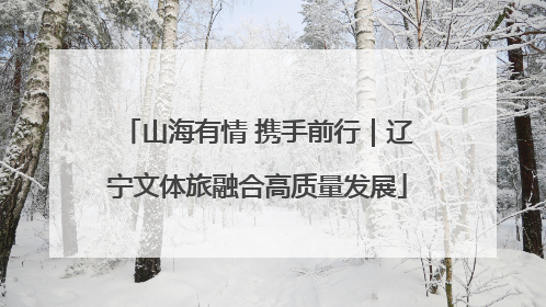 山海有情 携手前行｜辽宁文体旅融合高质量发展