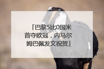 巴黎5比0国米首夺欧冠，内马尔姆巴佩发文祝贺