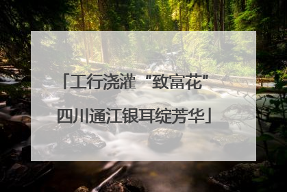 工行浇灌“致富花” 四川通江银耳绽芳华