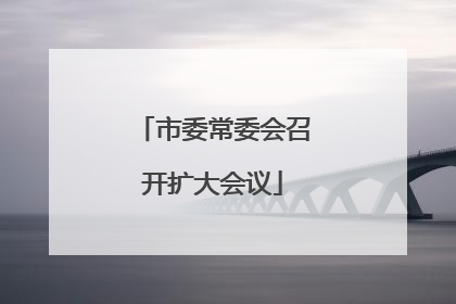 市委常委会召开扩大会议