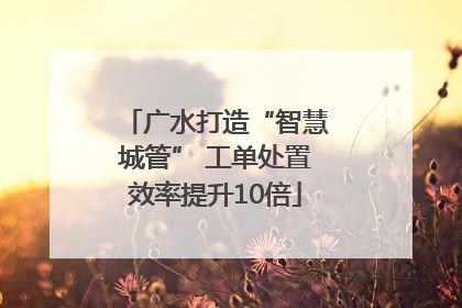 广水打造“智慧城管” 工单处置效率提升10倍