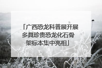 广西恐龙科普展开展 多具珍贵恐龙化石骨架标本集中亮相
