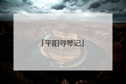 平阳寻琴记