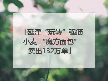 延津“玩转”强筋小麦 “魔方面包”卖出132万单