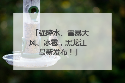强降水、雷暴大风、冰雹,黑龙江最新发布!