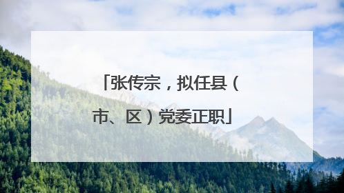 张传宗，拟任县（市、区）党委正职
