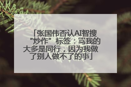 张国伟否认AI智搜“炒作”标签：骂我的大多是同行，因为我做了别人做不了的事