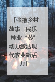 张掖乡村故事｜民乐种业“芯”动力激活现代农业新活力