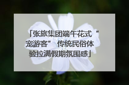 张旅集团端午花式“宠游客” 传统民俗体验拉满假期氛围感