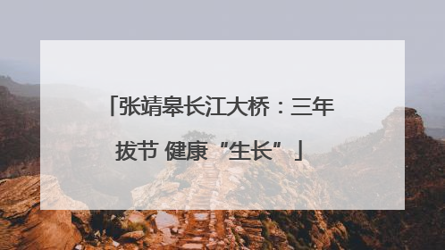 张靖皋长江大桥：三年拔节 健康“生长”