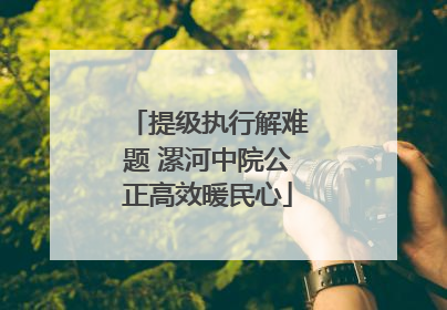 提级执行解难题 漯河中院公正高效暖民心