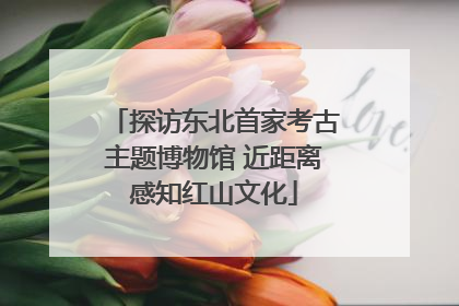 探访东北首家考古主题博物馆 近距离感知红山文化