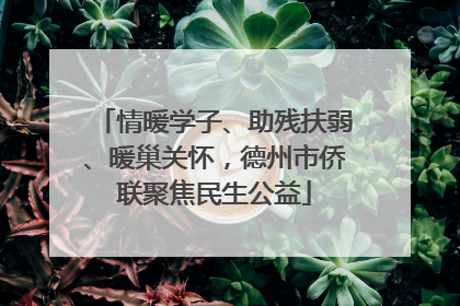 情暖学子、助残扶弱、暖巢关怀，德州市侨联聚焦民生公益
