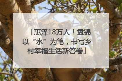 惠泽18万人！盘锦以“水”为笔，书写乡村幸福生活新答卷