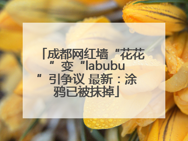成都网红墙“花花”变“labubu”引争议 最新：涂鸦已被抹掉