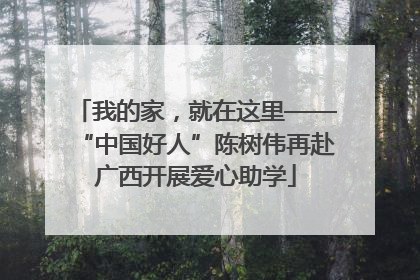我的家，就在这里——“中国好人”陈树伟再赴广西开展爱心助学