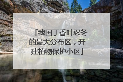我国丁香叶忍冬的最大分布区，开建植物保护小区