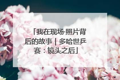 我在现场·照片背后的故事｜多哈世乒赛：镜头之后