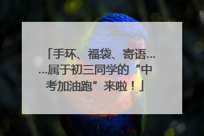手环、福袋、寄语……属于初三同学的“中考加油跑”来啦！