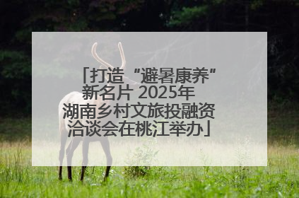 打造“避暑康养”新名片 2025年湖南乡村文旅投融资洽谈会在桃江举办