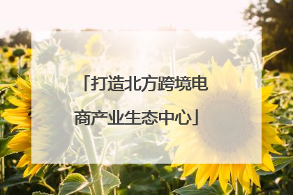 打造北方跨境电商产业生态中心