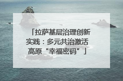 拉萨基层治理创新实践：多元共治激活高原“幸福密码”