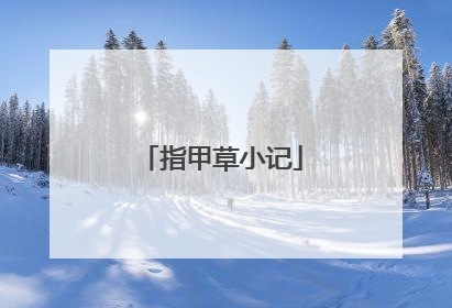 指甲草小记