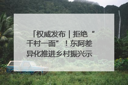 权威发布｜拒绝“千村一面”！东阿差异化推进乡村振兴示范片区建设