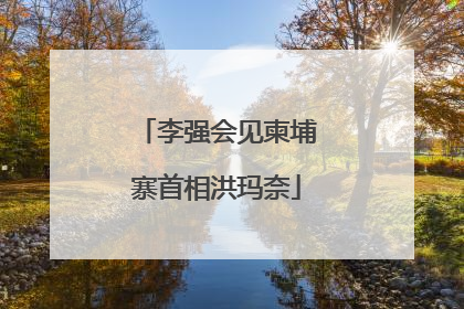 李强会见柬埔寨首相洪玛奈