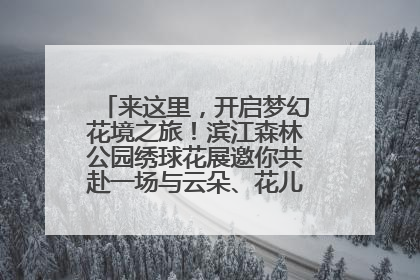 来这里，开启梦幻花境之旅！滨江森林公园绣球花展邀你共赴一场与云朵、花儿的浪漫之约