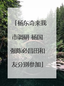 杨东奇来我市调研 杨国强陈必昌田和友分别参加