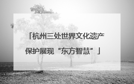 杭州三处世界文化遗产保护展现“东方智慧”