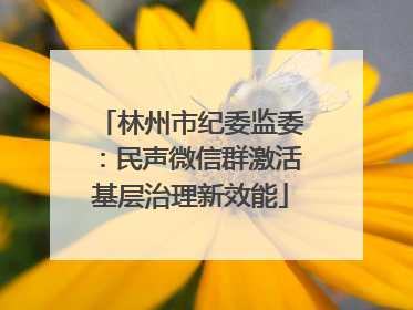 林州市纪委监委：民声微信群激活基层治理新效能
