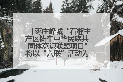 枣庄峄城“石榴主产区铸牢中华民族共同体意识联盟项目”将以“六联”活动为抓手深化品牌建设