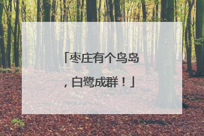 枣庄有个鸟岛，白鹭成群！