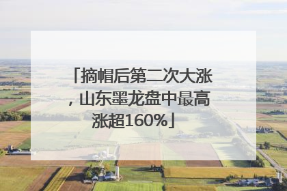 摘帽后第二次大涨，山东墨龙盘中最高涨超160%