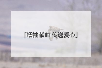撸袖献血 传递爱心